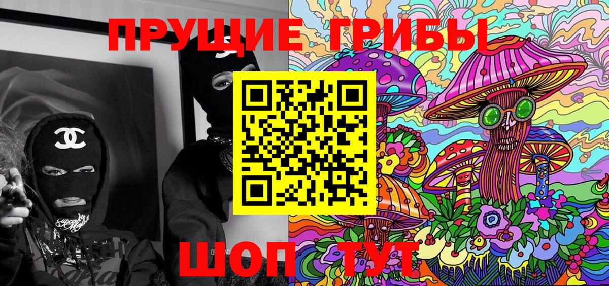 Галлюциногенные грибы GOLDEN TEACHER  Вход с VPN  Псилоцибиновые грибы GOLDEN TEACHER  Кыштым 