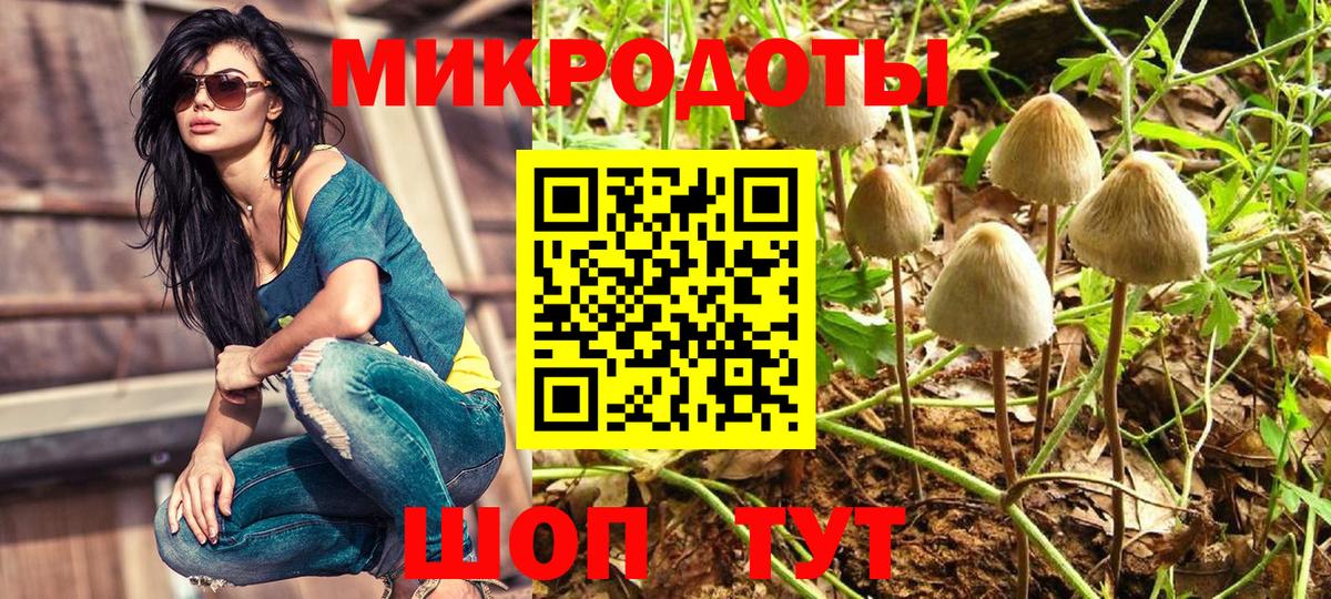 Галлюциногенные грибы Psilocybe Кыштым